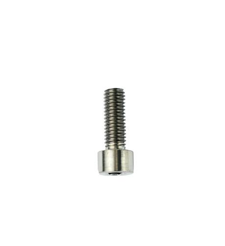 Slingshot HG M8 x 23mm Titanium Bolt